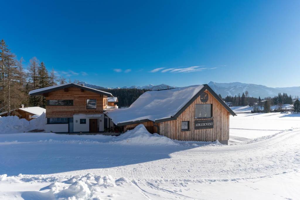 Adlernest Apartment Ramsau am Dachstein Bagian luar foto