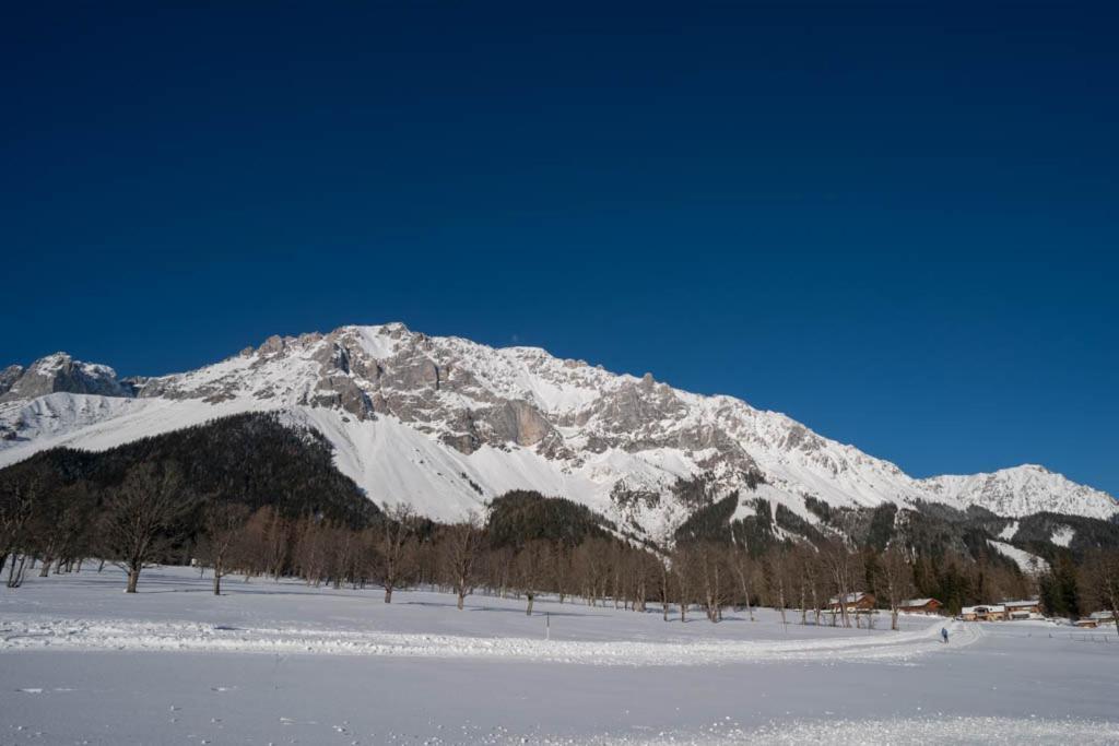 Adlernest Apartment Ramsau am Dachstein Bagian luar foto